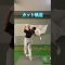 カット軌道で悩んでる方みて#shorts #short #ゴルフ #ゴルフスイング #ゴルフレッスン #ゴルフ女子 #ひなgolf #golf #golfswing