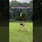 ファンサ（？）#ゴルフレッスン #ゴルフ #ゴルフ女子 #ゴルフスイング #飛距離 #golfswing #golf