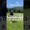 ふわっとアプローチ❓ #ゴルフ #youtube #golfchannel #ゴルフレッスン #golfshorts #golf #ごるふ #ゴルフ好きな人と繋がりたい #ゴルフ男子 #ラウンド動画