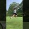 灼熱のゴルフ場⛳️ #ゴルフ #ゴルフ女子 #カレドニアンゴルフクラブ