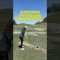 #砂 #3ウッド #3wood #lpga #ゴルフ #ゴルフスイング #ゴルフ女子 #ゴルフ練習 #ゴルフレッスン #golf #golfswing #ラウンド動画 #サエッタゴルフスタジオ