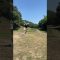#ゴルフレッスン #ゴルフ #ゴルフ女子 #ゴルフスイング #飛距離 #golfswing