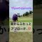 ハーフロブは、こう打つ❓ #golfchannel #golfshorts #ゴルフ #youtube #アプローチ #ゴルフレッスン #golf #ごるふ #approach #ロブショット