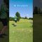 兄、ティーショット⛳️#かわばたゴルフ⛳️#Kawabata_GOLF⛳️#アドバイスください⛳️#ゴルフ家族⛳️#目指せ100切り⛳️#目指せ90切り⛳️#ゴルフ⛳️#ゴルフ男子⛳️#ゴルフ女子⛳️