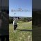 曲げたら即OB😱#ゴルフ #pgaティーチングプロ #lpga #ゴルフ女子 #スイングトップ #ゴルフスイング #golfswing #golf