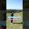 #グリーン #小さい #アイアンショット #ゴルフ #ゴルフ女子 #ゴルフスイング #lpga #golf #golfswing #ラウンド動画 #iron #サエッタゴルフスタジオ