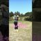 #ユーティリティ #ハイブリッド #ゴルフ #ゴルフ女子 #ゴルフスイング #lpga #golf #golfswing #ラウンド動画 #サエッタゴルフスタジオ #ゴルフ練習法