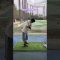 飛ばない私にはちょうど良いかも😁#ゴルフ女子 #ゴルフ #ゴルフスイング #golf #golfswing #shortvideo