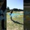 #ゴルフ #ゴルフスイング #ゴルフ女子 #lpga #ドライバー #golf #golfswing #ヘッドスピード #ラウンド動画 #フルスイング #サエッタゴルフスタジオ