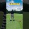 妹、ワンオンチャレンジ⛳️#かわばたゴルフ⛳️#Kawabata_GOLF⛳️#アドバイスください⛳️#ゴルフ家族⛳️#目指せ100切り⛳️#目指せ90切り⛳️#ゴルフ⛳️#ゴルフ男子⛳️#ゴルフ女子