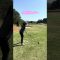 #ドライバー #レッスン #自己評価 #lpga #ゴルフ #ゴルフスイング #ゴルフ女子 #golf #golfswing #driver #ラウンド動画 #サエッタゴルフスタジオ