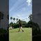 久々バックティーで回った✨#shorts #short #ゴルフ #ゴルフスイング #ゴルフレッスン #ゴルフ女子 #ひなgolf #golf #golfswing