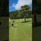 うますぎる#ゴルフ #ゴルフ女子 #ゴルフスイング #golf #golftiktok