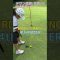 9/21遠賀(筑紫)② #ゴルフ #golf #ゴルフキッズ #ジュニアゴルファー  #ゴルフ女子 #ゴルフラウンド #7歳女の子 #チサンカントリークラブ遠賀