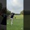 ハーフラウンド一気見 #ゴルフ #ゴルフレッスン #ゴルフスイング #golf #shorts