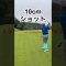トッシーついにギブアップ#shorts  #ゴルフ  #ゴルフ初心者  #ゴルフスイング  #ゴルフ女子  #golf  #google  #youtube  #楽しい