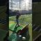 #ゴルフ初心者 #ゴルフ #golf #cute #zoo #ゴルフ女子 #癒し #成長記録 #kids #kidsvideo #ゴルフ練習 #小学生 #tiktok