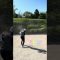 #バンカー #3m #ウェッジ #激ムズ #ゴルフ #lpga #ゴルフ女子 #ゴルフスイング #golfswing #golf #ラウンド動画 #サエッタゴルフスタジオ #チャレンジ