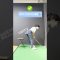 お家レッスン⛳️椅子の背もたれにお尻を近づけて、ゆっくりダウンスイングから左のお尻で背もたれを押していきましょう！クラブは持たなくても大丈夫です👌#golf #golfswing#ゴルフ#ゴルフ女子