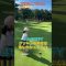 9/15玄海G.C薄暮⑤ #ゴルフ #golf #ゴルフキッズ #ジュニアゴルファー  #ゴルフ女子 #ゴルフラウンド #7歳女の子 #玄海ゴルフクラブ #薄暮