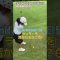9/21遠賀(筑紫)⑥ #ゴルフ #golf #ゴルフキッズ #ジュニアゴルファー  #ゴルフ女子 #ゴルフラウンド #7歳女の子 #チサンカントリークラブ遠賀