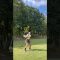 この時期の気温はゴルフしやすい🐥✨#shorts #short #ひなgolf #ゴルフ #ゴルフ女子 #ゴルフスイング #golf #golfswing