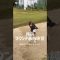 月例の日の練習#ゴルフ #ゴルフスイング #ゴルフ女子 #golfswing #golf #ラウンド