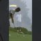 putting  #ゴルフ #パッティング #ドローボール #ゴルフ練習 #ゴルフ女子 #golf #callaway #打ちっ放し #スイング動画 #ゴルフ動画