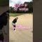 #ゴルフ #pgaティーチングプロ #ゴルフ女子 #スイングトップ #lpga #ゴルフスイング #ドラコンプロ #golfswing #サエッタゴルフスタジオ