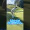 #shorts #shortvideo #golf#golfswing #golfer #パター #putt #パッティング #ゴルフ #ゴルフ女子 #スイング #ショートゲーム #ラウンド動画
