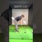 お辞儀で起き上がり防止前傾角度キープ練習 #ゴルフ #ゴルフ女子 #golf #ゴルフスイング #スポーツ #ゴルフ動画 #ゴルフ男子 #ゴルフレッスン