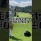 #shorts #shortvideo #golfswing #golfswing #golf #ゴルフ女子 #ゴルフスイング #飛距離アップ #飛ばし屋 #ドライバー #スイング #インパクトバッグ