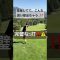 振り抜き良過ぎ🚨 #youtube #golfchannel #ゴルフスイング #ゴルフ女子 #ゴルフ #golfswing #golf #ゴルフ好きな人と繋がりたい #ごるふ #ドライバー打ち方