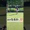 入る…⁉️ #ゴルフ #youtube #golfchannel #ごるふ #ゴルフ女子 #golf #golfshorts #par4 #ゴルフ好きな人と繋がりたい #ゴルフラウンド動画