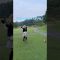 #ゴルフ #golf #ゴルフ女子 #ゴルフスイング #golfswing