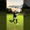 #ゴルフ #スイングトップ #pgaティーチングプロ #ゴルフ女子 #lpga #ゴルフスイング #ドラコンプロ #golfswing #サエッタゴルフスタジオ