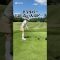 #shortvideo #shorts #golf #golfswing #ゴルフ #ゴルフ女子 #ゴルフスイング #ドライバー #飛距離アップ #スコアアップ #speed