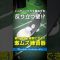 【激ムズ練習器】プレッシャーに勝てるか!?難易度MAXの「反り立つ壁」練習器に挑戦してみた結果…⛳ #shorts #golf #ゴルフ