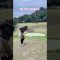 母、ワンオンチャレンジ⛳️#かわばたゴルフ⛳️#Kawabata_GOLF⛳️#アドバイスください⛳️#ゴルフ家族⛳️#目指せ100切り⛳️#目指せ90切り⛳️#ゴルフ⛳️#ゴルフ男子⛳️#ゴルフ女子