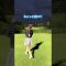 #ドライバー #ストレート #フェースローテーション #ゴルフ #ゴルフ女子 #ゴルフスイング #golf #golf #golfswing #lpga #ティーチングプロ #サエッタゴルフスタジオ