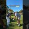 POV: golf lessons from a “former pro”😂