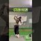 手だけで上げていませんか？#shorts #short #ゴルフ #ゴルフスイング #ゴルフ女子 #ひなgolf #golfswing #golf