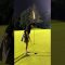 #パター #フック #ドキドキ #ゴルフ #ゴルフ女子 #ゴルフスイング #golf #golfswing #lpga #ラウンド動画 #ティーチングプロ #サエッタゴルフスタジオ