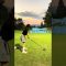 苦手な見え方、、、🙂↕️#ドライバー #ひっかけ #ゴルフ #ゴルフ女子 #ゴルフスイング #golf #golfswing #lpga #ラウンド動画 #サエッタゴルフスタジオ