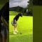 #チャンス #バーディ #パター #ゴルフ #ゴルフ女子 #ゴルフスイング #golf #golfswing #lpga #ティーチングプロ #ラウンド動画 #サエッタゴルフスタジオ