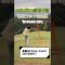 【ゴルフ成長記録】小学2年生ここみ、島根ゴルフ倶楽部5番ホールに挑戦!115ヤード打ち下ろし 1オンなるか!?