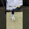 #ゴルフ#ゴルフスイング #ゴルフ女子 #golf #レッツエンジョイゴルフ #ショート動画 #shorts #youtubeshorts
